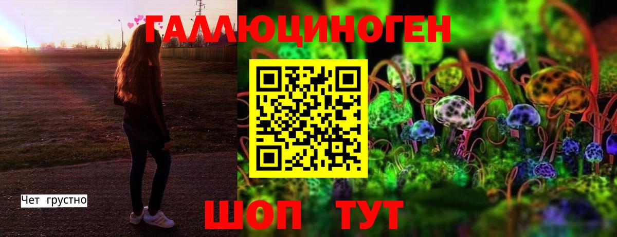 Галлюциногенные грибы Psilocybine cubensis  Вход с VPN  Волжск 